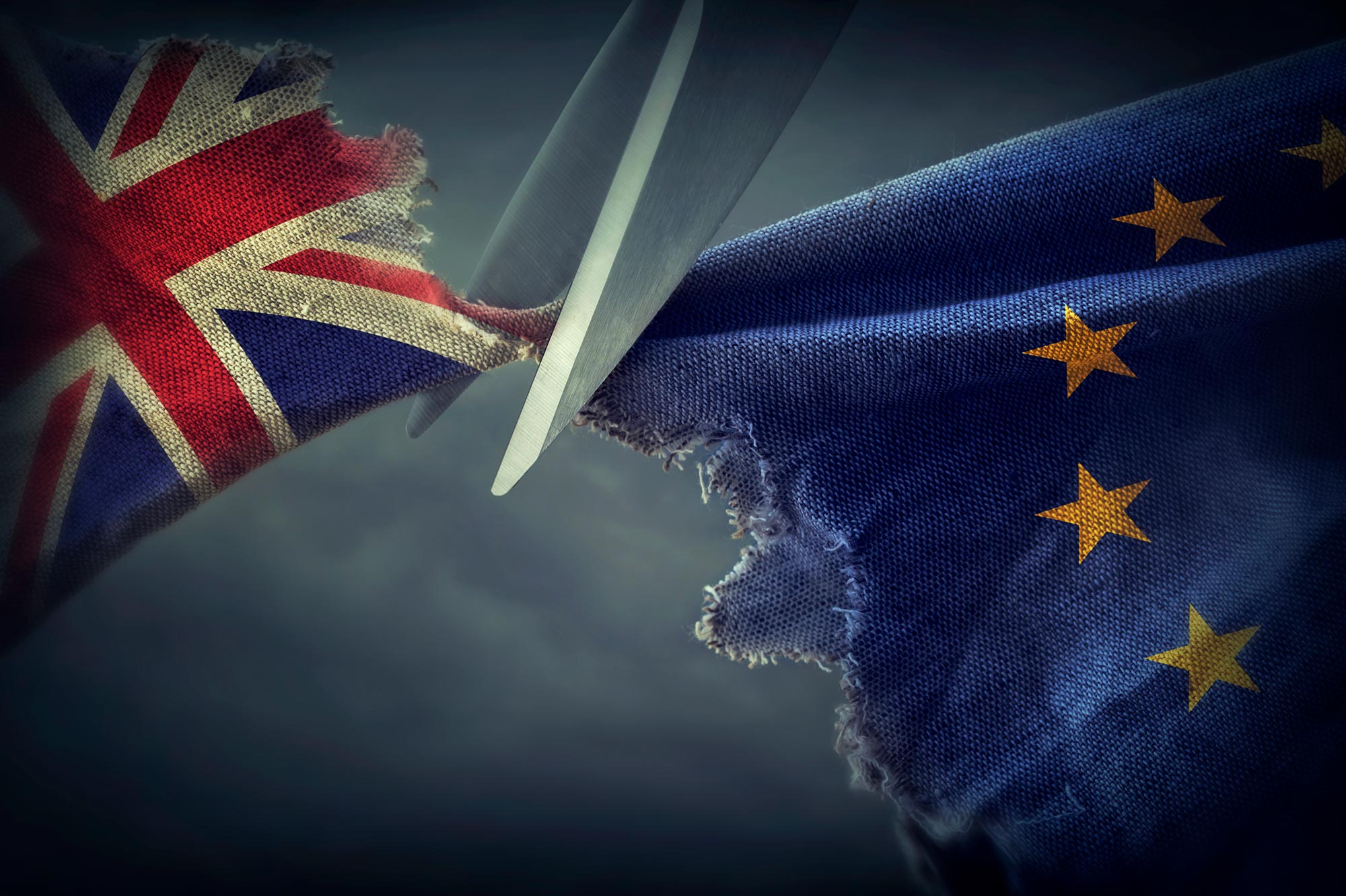 How Will Brexit Impact Your Business In 2020? - Anthony Jones