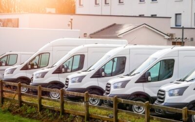 How Much Weight Can a Luton Van Carry?