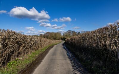 Are Rural Roads More Dangerous and How Should Fleets Respond?